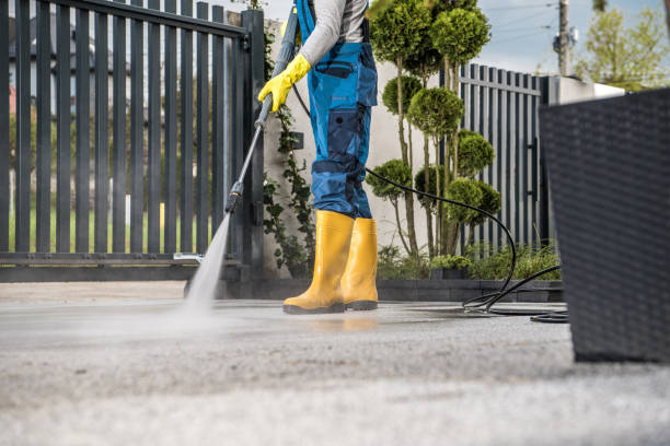 Best Commercial Building Pressure Washing  in Williston, SC