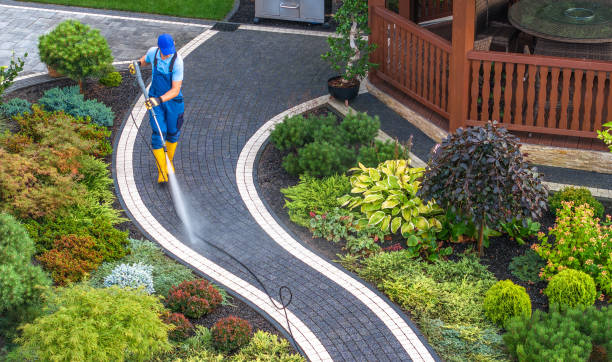 Best Roof Pressure Washing  in Williston, SC