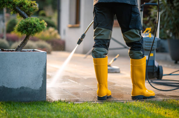 Best Power Washing Near Me  in Williston, SC